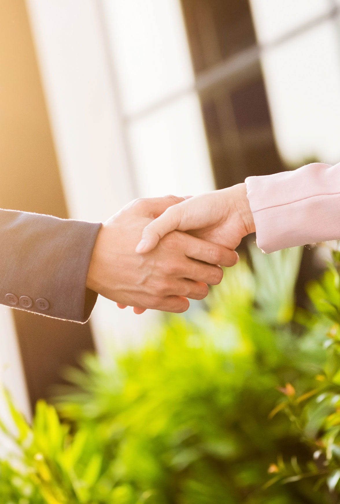 mollaoğlu inan grup